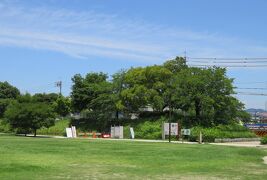 2017夏、続日本百名城の小牧山城(2/8)：休憩所の展示パネル、杉並木、4コースの登山道