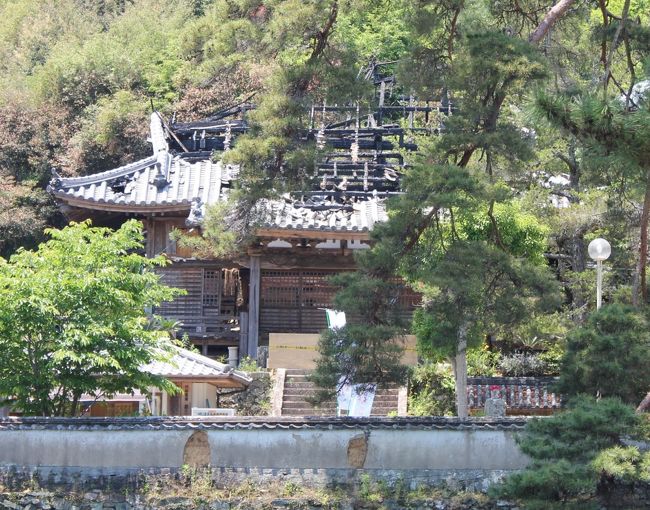 今回の旅はプチお遍路旅でお寺巡りが中心ですが、ご朱印集めや数多く回ることが目的ではなく、気に入ったお寺はゆっくりお参りしたい、お寺だけではなく観光もしたい、という「きままな旅」です。<br /><br />『車で廻る、きままなお遍路旅』３日目は、徳島から吉野川沿いに探っていきます。<br />なお３日目から少しスピードアップして回りますので、各寺社の写真数が少なくなります。<br />〔写真：火災に遭った童学寺本堂〕<br /><br />３日目に訪れた先〔( )は88ｶ所札所番号です〕<br />(17)井戸寺、八幡神社、大御和神社、(16)観音寺、(15)国分寺、(14)常楽寺、(13)大日寺、一宮神社、〔別格2〕童学寺、玉林寺、報恩寺、（11）藤井寺、（12）焼山寺、うだつ