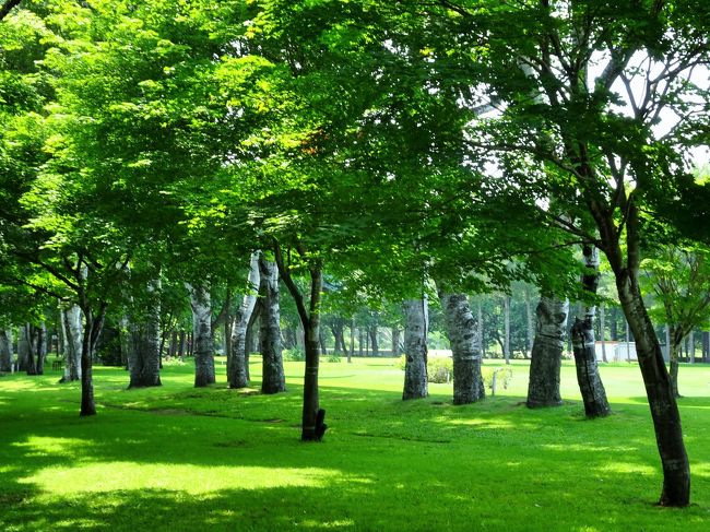 帯広市に住む，友人に会いに行きました。近間を案内してくれました。<br />７日夕刻・家族が到着。８日・９日は，家族のみで観光。<br />　　十勝ヒルズは，バラが見頃でした。<br />　　富良野・美瑛では，青い池や花畑などきれいでした。<br /> ６日～８日帯広駅周辺～十勝ヒルズ～富良野<br /> ９日　　　富良野～美瑛～旭川<br />〈 写真　帯広市緑ヶ丘公園〉<br />