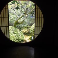 雲龍院の悟りの窓を見て何も悟っていないことを悟った京の暑い日