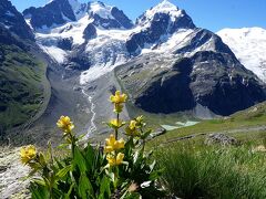 団塊夫婦の絶景アルプストレッキング（2017スイス)ーベルニナアルプス随一の眺望・スールレイ峠からロゼック谷を歩く