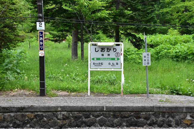 北海道の旭川から宗谷本線に乗り、最初の峠「塩狩峠」を訪れます。<br /><br />ここには1軒宿の塩狩ヒュッテがあり、気さくなおもてなし、野菜たっぷりメニューの食事、鉄道が見える部屋など、鉄道好きには魅力ある宿です。<br />夕食後、三浦綾子の作品を展示した「塩狩峠記念館ナイトツアー」に参加します。<br /><br />翌朝、朝食前に宗谷本線の秘境駅「東六線」に行って戻ってくることができます。<br />