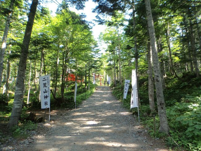 ４トラ仲間の今中さんよりお誘い、今回はnimameが機会があれば登りたいと思っていた山、梅雨の時期だけど・この機会を逃しては！！で、一人旅・<br /><br />正直nimame一人旅初めて？？なような？<br /><br />なので、今中さんと合流するまで、すべて細かいメモとＳｕｉｃａ送ってもらい、無事合流出来てホットするnimame(^^)<br /><br />合流後は今中さんの車で出発、今回は・・って・何時もそうですが・・<br />今中さんが宿の手配・他すべてしてくれて、nimameは本当に楽ちんな旅でした。