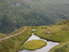 ハイキング・登山