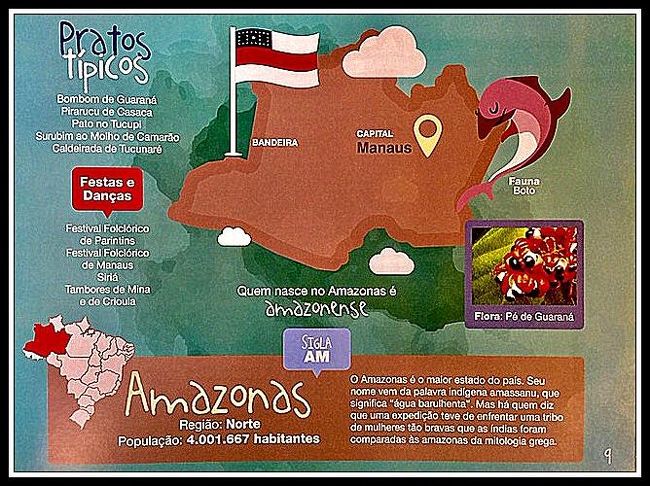 写真は、ブラジル最大の土地面積を誇る「アマゾナス州（州都：マナウス）」の州旗。それぞれの州に、それぞれの旗があります。<br /><br />この前、NHKでも放映されていましたが、未だにアマゾン・ジャングルでは、現代文明から隔離された未確認部族が発見されるぐらいなので、この州の人口は？、と聞かれると....当てにならない....かも....<br /><br />写真には、4,001,667人って書いてあるけど.....これ、ほんまかいな？！