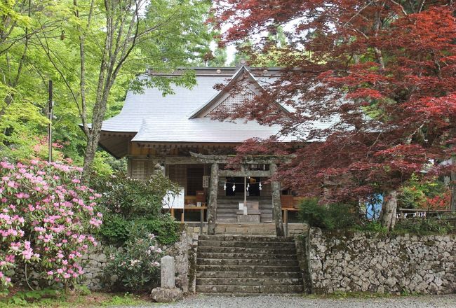 今回の旅はプチお遍路旅でお寺巡りが中心ですが、ご朱印集めや数多く回るのではなく、気に入ったお寺はゆっくりお参りしたい、お寺だけではなく観光もしたい、という「きままな旅」です。<br /><br />『車で廻る、きままなお遍路旅』４日目は、美馬市（穴吹）から県道106号を北上し、大滝寺へ向います。<br />〔写真：旅行中最高地点の西照神社〕<br /><br />４日目に訪れた先〔( )は88ｶ所札所番号です〕<br />〔別格20〕大瀧寺、西照神社、(88)大窪寺、(87)長尾寺、田村神社、(83)一宮寺、(80)国分寺、白峰宮（79）天皇寺、神谷神社、（81）白峯寺、（82）根香寺、〔別格19〕香西寺、栗林公園