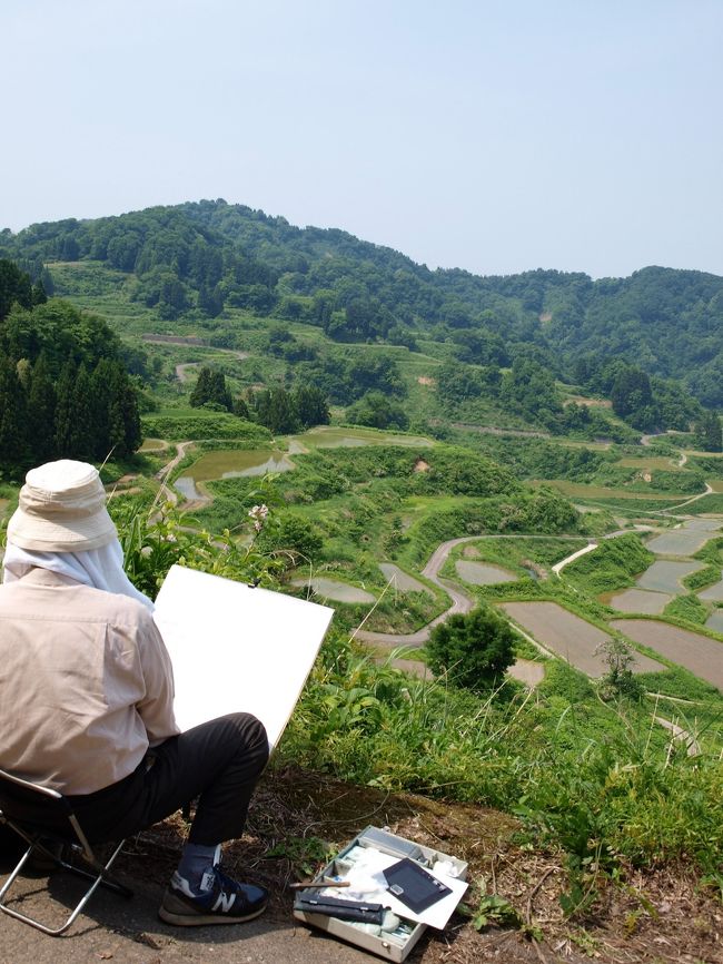 越後平野の田植えも終わり、山々の雪も融け、花と新緑の季節になり、あちこち散策してきました。まず、越後丘陵公園のバラ祭り( http://echigo-park.jp/guide/flower/rose/index.html )に出かけてきたのですが、朝方までの雨のおかげで、バラの香りに酔いしれるほど楽しめました。<br /> 2日後、新緑シーズンをむかえた十日町松之山の「美人林」( http://www.tokamachishikankou.jp/bijinbayashi/ )松代の「棚田」等散策し、6月に入り長岡市の「鋸山」( https://ja.wikipedia.org/wiki/%E9%8B%B8%E5%B1%B1_(%E6%96%B0%E6%BD%9F%E7%9C%8C) )ハイキングでブナの新緑を楽しんできました。