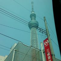 おばさん、一人で東京・舞浜へ行く　①　～タマディアホテル羽田～