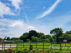 浜松市動物園へ