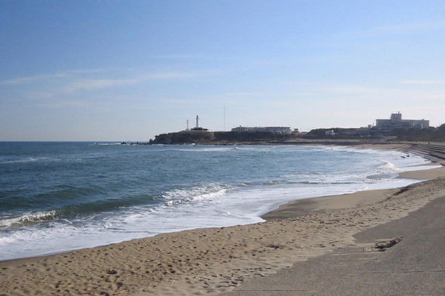 銚子市の君ヶ浜海岸でバードウォッチングを楽しみました。<br /><br />表紙写真は、君ヶ浜海岸の風景です。<br />