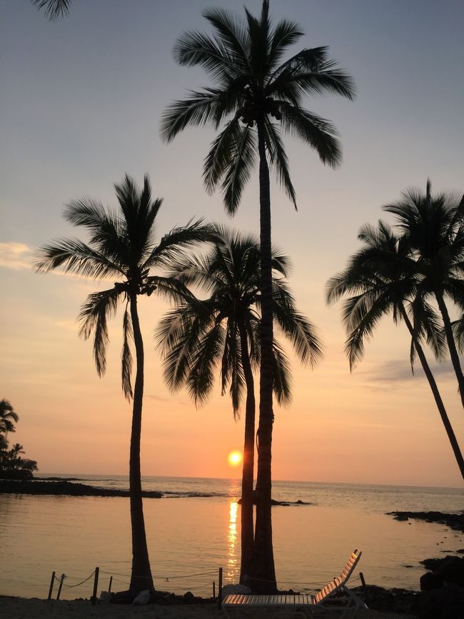 今回の旅行は、ハワイ島&amp;オアフ島^ ^<br />初めてのハワイ島!!<br />オアフ島とは違うHawaiiを堪能しました!!<br />我が家のテーマ：普段節約し、Hawaii旅行は贅沢に<br /><br />2015年7月2日～9日<br />【航空機】<br />ユナイテッド航空 ビジネスクラス<br />【ホテル】<br />ハワイ島：オーキッド<br />オアフ島：モアナサーフライダー<br />