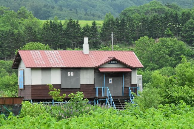 天北線（てんぽくせん）は、道北内陸部にある音威子府（おといねっぷ）駅から宗谷本線と分かれ、北東方向に向かって浜頓別（はまとんべつ）を経由し、オホーツク海沿いに稚内まで走る鉄道でした。<br /><br />旭川と稚内を結ぶ鉄道は当初このルート（当時は宗谷線）でしたが、現在の幌内経由稚内までの路線が新設されため、天北線（音威子府～南稚内）が次第に赤字路線となり平成元年（1989）に廃止されました。<br />廃止後、代替バスが天北線沿いとほぼ同じルートを走るようになりました。<br /><br />今日は音威子府で名物の黒い蕎麦を食べ、天北線（宗谷バス）に乗り、車窓から鉄道廃線跡を探しながらベニヤ原生花園まで「路線バスの旅」を楽しみます。<br />途中の中頓別・浜頓別バスターミナルには鉄道記念館があり、トイレ休憩中の10分間に見学します。<br /><br />なお、旅行記は中頓別町のHP、札幌鉄道局編の「駅名の起源」などを参考にしました。<br />