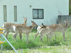 初夏の北海道は、稚内へGO（後編）