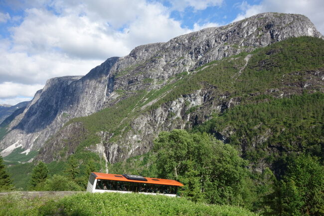 世界最大のソグネフィヨルドを見るべく、オスロからベルゲンまでの行程。<br />すばらしい光景が見られました。この一日の行程はこんな具合でした。<br /><br />ソグネフィヨルドを後にして、今度はベルゲンまでの陸フィヨルド（U字谷）を紹介します。<br /><br />08:25 Oslo発　ノルウエー国鉄 Bergen線を移動<br />12:58 Myrdal着<br />13:27 MyrdalをFlam鉄道で移動 <br />14:25 Flam着<br />15:15 Flamからフェリーに乗船しフィヨルド見学<br />→17:30 Gudvangen着<br />→17:45 Gudvangenをバスにて発<br />→18:50 Voss着<br />→19:38 Vossからノルウエー国鉄 Bergen線にて移動<br />→21:00 Bergen着<br /><br />