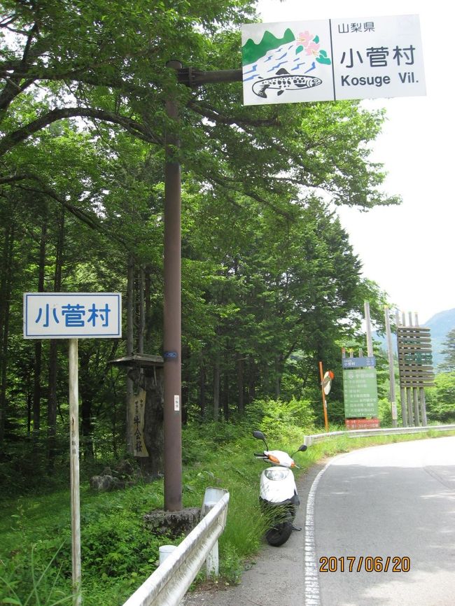 小菅村から鶴峠を越えて都民の森を訪ねてみました