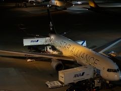 香港の夜景を見たくなったら　①1日目　出発編　羽田空港まで