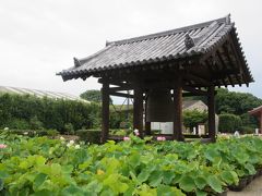 母と行く薬師寺☆特別公開の食堂（じきどう）と蓮を見せていただきました♪