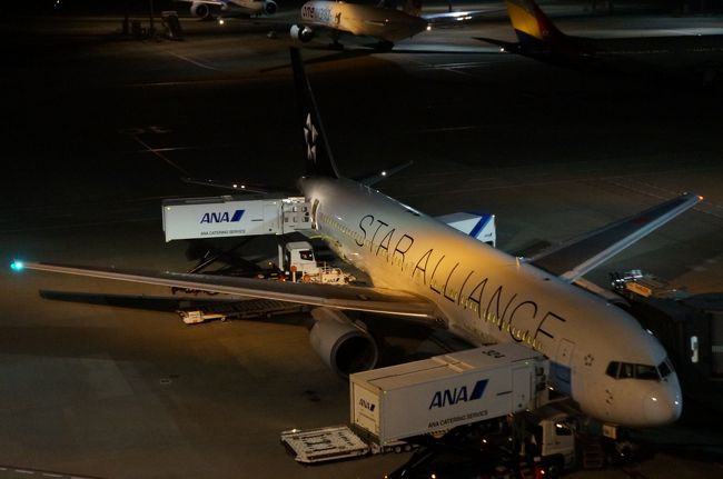 香港の夜景が見たくなって、食べ歩きを兼ねて行って来ました。<br /><br />ANA特典航空券（行きはビジ、帰りはエコ）＋ハーバー ベイ ホテル（宿泊当時はワン・ミンデン・ホテル）（尖沙咀）1泊<br /><br />①1日目出発編　羽田空港まで←<br />https://4travel.jp/travelogue/11261033<br />②２日目　羽田→香港　移動編<br />https://4travel.jp/travelogue/11261059<br />③２日目　香港散策　北角、上環、尖沙咀編<br />https://4travel.jp/travelogue/11289062<br />④３日目　香港から帰国編<br />https://4travel.jp/travelogue/11289857