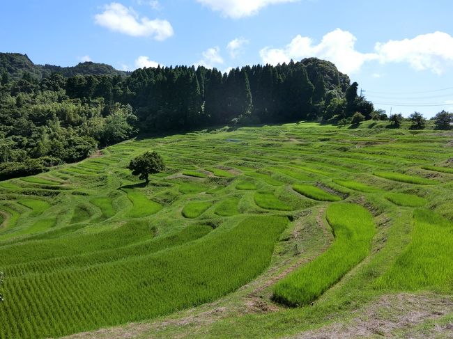 主人と車で房総1泊旅行へ行ってきました。<br />主な目的は、はかりめ（穴子）フェア開催中の富津で穴子を食べることと、大山千枚田を見ること、そして鴨川ホテル三日月に泊まることです。<br />帰りにはかつうら海中公園と高滝湖に寄りました。<br />暑い時期ですが、穴子も美味しかったし、ホテルのプールで遊んだりして楽しかったです。<br /><br /><br /><br />