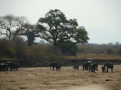 西タンザニア旅行記　２