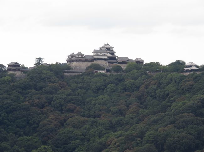 松山城と今治城をメインに愛媛への夫婦旅行へ。<br />だんだん城を登るのも苦になってきたのを実感した旅行に・・・。
