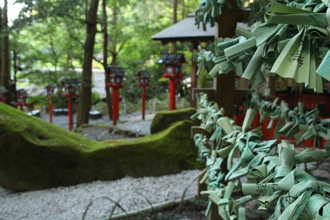 あじさい観賞で訪れた京都で、京都の寺社の素晴らしさを再認識し、どうしても行きたくなってしまった。<br />そこで、まだ行くことができていないメジャースポットを巡ることに。また、改めて巡る京都の好きなスポットも投稿していこうと思う。<br /><br />まず今回訪れたのは、<br />・貴船神社（今投稿）<br />・南禅寺<br />・下鴨神社<br />・建仁寺<br />・伏見稲荷大社<br /><br />今後、シリーズ化していこうかな！？（未定。。）<br /><br /><br />＜＜お詫び＞＞<br />投稿途中の他の旅行記は、なるべく早くということで、先にこの旅行記を投稿させて頂きます。勝手な旅行三昧の旅の記録となりますので、悪しからずご了承のほど。<br />