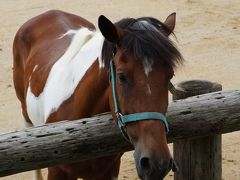 はじめての那須高原