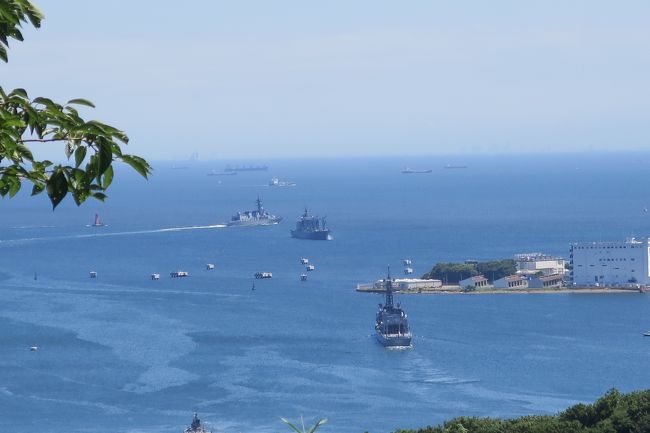 暑い真夏の一日に、ハイキング。行先は、京急安針塚を降り、県立塚山公園を経て、尾根を通り、田浦梅林、梅の里をへて、田浦駅に向かうコースである。朝から、こうこうと日が照り、暑さを感じた。首にぬれタオルを巻き、少しでも涼しかを求めた。按針塚駅を降り、坂道を上るのもよいが、まずは体力温存で、京急ストアーの横のエレベーターで、コモンヒルズの団地へ抜ける。階段を上がったところに、藤棚があり、ここで、ストレッチ。のんびり歩きながら、県立塚山公園へ到着。展望台で、猿島、横須賀港を眺める。対岸の千葉も手に取るようである。三浦按針夫妻のお墓に上り、お参りをする。そこから尾根伝いに、富士見台で、富士山を眺めるといっても、ガスっており、まだ雪が残っている中腹が見えるだけであった。風が吹いており、暑さをふき取ってくれた。さらに港の見える丘で、横須賀の軍港をながめる。ちょうど3隻の軍艦が移動を始めていた。横須賀も、北朝鮮の動きで、忙しい時期である。田浦の梅林に向けて十三峠を下る。土地に、野菜の直売所が二か所あった。女性群は、重いけどといいながら、新鮮な野菜を買っていた。結構畑がある。授粉用の日本ミツバチを買っているところもあり、まだまだ自然が、残っている。300段近い階段を降り、ふもとに到着。京急のガードまで来て、ここから梅林、梅の里に移行か問うことになったが、みんなこれ以上は無理ということで、熱中症対策で、田浦駅に向かう。それでも2時間強のハイキングであった。残りは、また梅の季節へ回した。