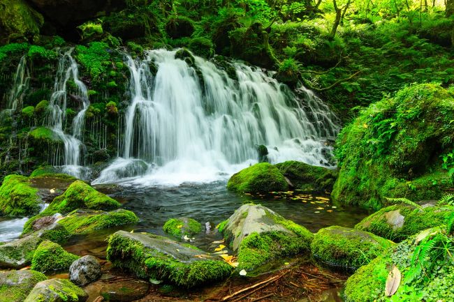 学生時代北海道に住んでいた私は、中学校の修学旅行で、十和田湖に訪れました。その時に十和田湖を一周したので、秋田県に訪れた気になっています（笑）。<br />というのも、確か修学旅行で楽しみにしていた晩御飯が「きりたんぽ鍋」でガッカリした覚えがあったので。。。（あの年頃はガッツリ肉じゃないと食べた気にならない）<br /><br />それ以来、何回かきりたんぽ鍋を食べても美味しいとは感じられませんでした。ただし、秋田人に言わせると「きりたんぽ鍋」は美味しいらしい・・・。<br />今回その事も検証しに、秋田へ再訪してみました。<br />↑<br />（一度訪れている気分です）<br /><br />宜しければご覧ください