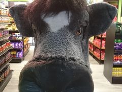 ＡＮＡ　ＤＩＡ修行第7弾Part2！『お師匠様とのＫＬＩＡ修行♪』