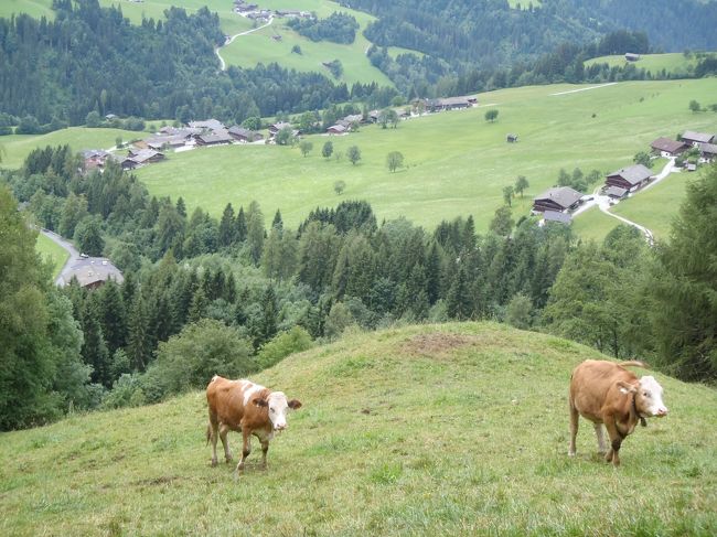 チロルハイキング（１１）アルプバッハ、ホテルの裏山Hochstricklで道迷い