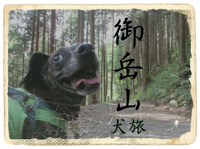 愛犬Ｋｅｎと旅する企画『 犬旅 』<br /><br />記念すべき第３０回は、御岳山。<br />山登り犬としては、「 山 」と聞いたら、黙っていられない。<br /><br />そこに「 山 」がある限り、そこに・・・（黙）