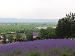 富良野ラベンダー巡り