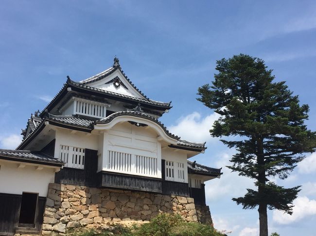 3日目はレンタカーで総社市にある「鬼ノ城」と備中高梁にある「備中松山城」へ。<br /><br />本当は湯原温泉に寄ろうと計画していましたが、ゆっくりできる時間がなさそうだったので今回は見送る事に。<br /><br />「鬼ノ城」は天守閣などはなくかなり長いハイキングコースになっていました。<br />前日こんぴらさんで歩き疲れたのでここはちらっと見て「備中松山城」へ向かいます。<br /><br />…備中松山城、なめてました。。さすが日本一高い所にある山城！（現存する天守閣の中で）<br />この状態で温泉なんて入ったら拠点の岡山まで帰れる気がしません。<br /><br />岡山駅周辺と倉敷編→http://4travel.jp/travelogue/11261986<br />こんぴらさん→http://4travel.jp/travelogue/11261994