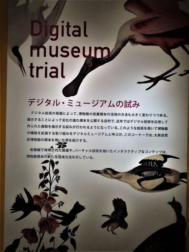 絵画や彫刻などの芸術作品や、歴史、民族などのさまざまな資料をデジタルデータに変換して保管し、電子ネットワーク上で閲覧できる美術館や博物館のこと。（コトバンク・デジタル大辞泉の解説）<br /><br /><br />国立科学博物館　については・・<br />http://www.kahaku.go.jp/<br />