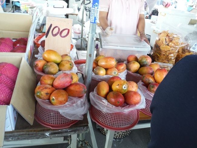 毎年恒例のマンゴーを食べるツアーです。