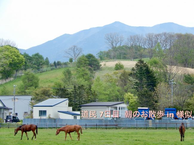 今年のちょこっと暮らしは様似で。<br />友人に様似って伝えると、10人ちゅう10人がみんな同じ反応<br />えっ？どこ？ <br />まあね、予想通りの答えではあります<br /><br />だけど、同じ事を道民の方にも言われることに、正直驚いた<br /><br />様似って道民でも あまり知られていないのね…<br />襟裳の隣町って言うと、通じたのでした。<br /><br />そんな様似町でお世話にな住居の紹介です<br /><br /><br /><br /><br /><br />