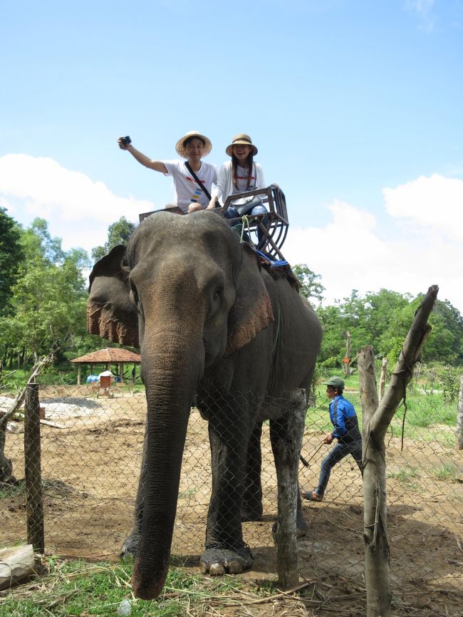 2017年7月8日(土) Viet Nam ベトナム Buon Ma Thuot バンメトート <br />象に乗っているのは明日、挙式を控えているカップルです(*^_^*)<br />準備など色々あるのに・・・<br />私達のことを気遣ってくれて、1日ツアーを計画してくれました。<br />大切な大切な1日を割いてくれて本当に本当にありがとう!!!<br /><br />象に乗るのに一人確か10万ドンでした。<br />タイのアユタヤで一度乗った事がありますが、川を渡った事がないので<br />今回トライしてみました。<br />※自分で言うのも変ですが、こういう時って何かやらかすのがとても得意なので慎重に象に乗りました。<br />なのに!主人が先に象に跨ると『バキッ!!!』っと何か壊れた音が鳴り、怖かったです。<br />何事もなく象に乗る事が出来た事に感謝ですぅ☆<br /><br /><br />