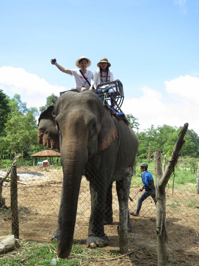 2017年7月8日（土） Viet Nam ベトナム　Buon Ma Thuot バンメトート　<br />象に乗っているのは明日、挙式を控えているカップルです(*^_^*)<br />準備など色々あるのに･･･<br />私達のことを気遣ってくれて、1日ツアーを計画してくれました。<br />大切な大切な1日を割いてくれて本当に本当にありがとう！！！<br /><br />象に乗るのに一人確か10万ドンでした。<br />タイのアユタヤで一度乗った事がありますが、川を渡った事がないので<br />今回トライしてみました。<br />※自分で言うのも変ですが、こういう時って何かやらかすのがとても得意なので慎重に象に乗りました。<br />なのに！主人が先に象に跨ると『バキッ！！！』っと何か壊れた音が鳴り、怖かったです。<br />何事もなく象に乗る事が出来た事に感謝ですぅ☆<br /><br /><br />