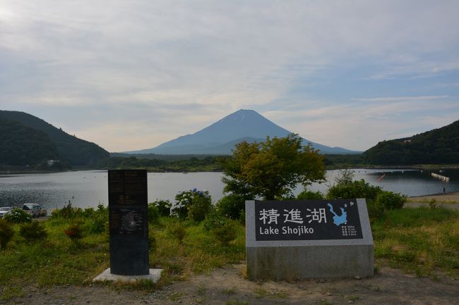 7月15日から19日までは、会社の前期夏休みです。<br />例年通り、身延山久遠寺参拝後、周辺の寺院を<br />巡り御朱印収集と、富士山見物へ出掛けました。<br /><br />自宅から、横横道路経由東名富士川サービスエリアの<br />スマートインターチェンジを抜けて向かいました。<br /><br />1日目<br />内船寺(南部町)⇒本遠寺(身延町)・良円寺(身延町)⇒久遠寺<br />⇒多津美(昼食)⇒本栖湖⇒精進湖(宿泊)<br />2日目<br />精進マウントホテル⇒冨士御室浅間神社⇒新倉富士浅間神社<br />⇒小室浅間神社⇒北口本宮富士浅間神社⇒東口本宮冨士浅間神社<br />⇒平塚八幡宮⇒自宅<br /><br />空いていて良かったのですが、帰路の茅ヶ崎から大雨に遭遇！<br />新湘南バイパスで前が見えず、一般道に降りると今度は冠水！<br />池の中を走行しながら江の島へ。<br />江の島も大荒れ後で、道は渋滞。<br />帰路は時間が掛かる行程でした。<br /><br />