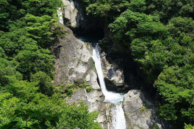 高知の旅はしばらくないかなあと思っていましたが、どうしてももやもやが晴れない。やっぱり、よさこい祭りや東半分の旅といった旅行記くらいでは高知の魅力をまだまだ発信できていないんですよね~<br /><br />そこで思い立ったのが、以前から気になっている絵金まつりにひっかけた再度の高知旅。そして、四日間使えば、これもまだ行っていない檮原とかも回れるし、四万十の沈下橋も徹底的に回ってみたい。それなら、高知のもう一つの大きな魅力である山間部の紹介ができるでしょう。<br /><br />いずれにしても、私にとっては、第二の故郷といってもいいくらいの高知。ここで一区切りつけるつもりで、例によってぎっしり予定を詰め込んでみました。<br /><br />まず初日のハイライトは、杉の大杉、轟の滝、アンパンマンミュージアム、龍河洞。夜は絵金祭りなので、それまでに回りきる必要がありますが、それぞれ比較的近い場所。一応、土地勘がありますから、時間配分を間違わなければ、なんとか行けるはずです。<br />今回もちょっぴりの懐かしさと改めての感動の旅。高知の魅力全開の旅の始まりです。<br />