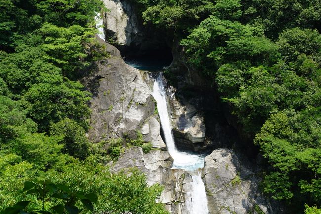 高知の旅はしばらくないかなあと思っていましたが、どうしてももやもやが晴れない。やっぱり、よさこい祭りや東半分の旅といった旅行記くらいでは高知の魅力をまだまだ発信できていないんですよね～<br /><br />そこで思い立ったのが、以前から気になっている絵金まつりにひっかけた再度の高知旅。そして、四日間使えば、これもまだ行っていない檮原とかも回れるし、四万十の沈下橋も徹底的に回ってみたい。それなら、高知のもう一つの大きな魅力である山間部の紹介ができるでしょう。<br /><br />いずれにしても、私にとっては、第二の故郷といってもいいくらいの高知。ここで一区切りつけるつもりで、例によってぎっしり予定を詰め込んでみました。<br /><br />まず初日のハイライトは、杉の大杉、轟の滝、アンパンマンミュージアム、龍河洞。夜は絵金祭りなので、それまでに回りきる必要がありますが、それぞれ比較的近い場所。一応、土地勘がありますから、時間配分を間違わなければ、なんとか行けるはずです。<br />今回もちょっぴりの懐かしさと改めての感動の旅。高知の魅力全開の旅の始まりです。<br />