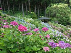 【坂東札所巡礼12-2】どこに行くの？ランチです。その後に紫陽花を見に行きます。　　　