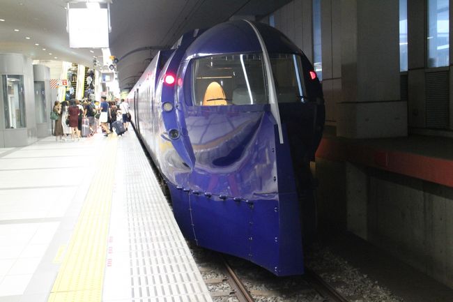 関西空港から大阪中心部への移動。今回は宿泊地を難波周辺にしたため南海電鉄の特急ラピートを利用する事にした。<br />乗車列車は関西空港発19：05分のラピートβ68号。<br />途中の停車駅があるタイプで、6両編成。<br />2両のスーパーシート車と4両のレギュラーシート車。<br /><br />今回はスーパーシート車に乗車。車内の様子を少しだけ掲載します。<br /><br />快適なスーパーシートで、気持ちよく？利用するはずが・・・<br />人身事故による遅れに巻き込まれ、長い道のりになってしまった。<br /><br />まあ、旅にはトラブルがつきもの・・・こういうこともあります・・・