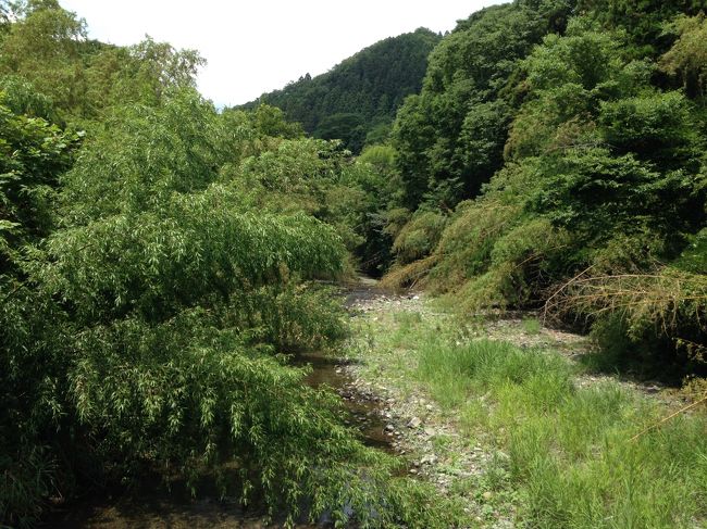 空模様やら家庭の行事、かみさんの都合やかみさんの都合とか、それからかみさんの都合とかあとかみさんの都合等々で出かける機会がなかなか無く、ようやく梅雨の合間をぬって約１ケ月半振りに秩父観音霊場巡りを実施しました。<br />今回は秩父鉄道白久駅から３１番を経由して小鹿野町役場前バス停までの２２Ｋｍ前後を歩きます。尚、３０番から３１番は秩父の札所間最長距離で１７Ｋｍくらいあるとか。その３０番と白久駅間は前回歩いているので白久駅からの出発となるわけです。<br />天気予報は曇りのち晴れで最高気温３６度、実は自宅出発時にポツポツ降っていたので少々空の様子が心配。天気予報外れないでくれ～。