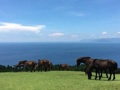 「どこかにマイル」で宮崎へまいる♪ ゆるりドライブひとり旅 2日目 かつおめし食べたよ～