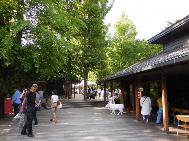 　年間に数回海外に出掛けている私ですが、週末は基本的に軽井沢の別荘に滞在。食べて、飲んで、温泉に入って、歩いて、ドライブしてと色んな事をして過ごす小旅行はとても楽しいものです。<br />　こんな生活が送れるなんて・・・。