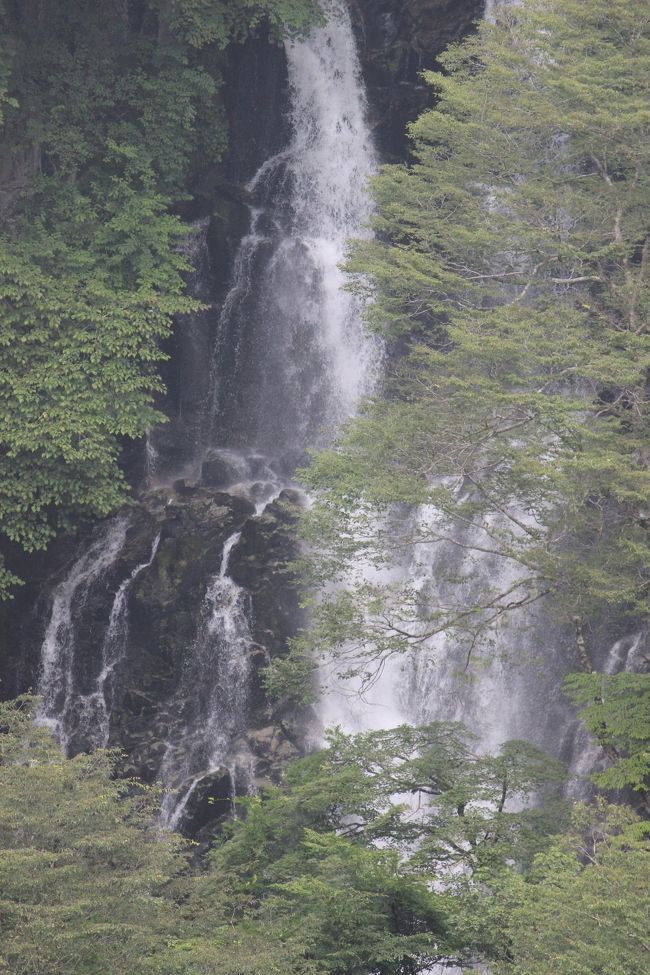 　今回は、いま今年は花が終わってしまって来年の６月～７月上旬がお勧め場所といま、工事中でこれが終わった更にお勧めの場所を紹介したいと思います。その場所は霧降高原と裏見の滝です。<br />　東京から東北自動車道と日光今市有料道路で行けます。自動車で余裕をもって行けば３時間あっれば大丈夫です。日光ICから東武日光駅の付近で右折して霧降高原へ、その途中に霧降の滝があります。近くではなく離れてた場所から見ることなります。そこから霧降高原レストハウスへ、ここから比較的散策で行けるのがキスゲ平で７月上旬までならニッコウキスゲが一面に広がる風景をみることができます。今回はすでに終わりところどころに数本見られました。しかし霧が立ち込め霧降高原の雰囲気は味わうことができました。なお、キスゲ平までは、木製階段か、緩やかに迂回して上がるハイキングロードがあります。また、レストハウスの付近の駐車場に車を止めての大山コースと丸山コースのハイキングコースがあります。（http://www.kirifuri-kogen.jp/hiking.html）。次にいった裏見の滝は、いま滝の裏まで通路が工事中なので、滝を裏から見たいのならしばらくしてから確認してから行くといいでしょう。場所は日光東照宮から清滝へ行く途中を右折し、行きどまりまでゆくと駐車場があり、そこから滝の見えるところまで行けますので、そとからの滝はみることができます。裏見の滝ですが表の凄い迫力ある滝もぜひ見れ貰いたいものです。今回は朝９時ごろでて夕方の１８時に戻ることができました。お昼は東北道のPAを利用しました。