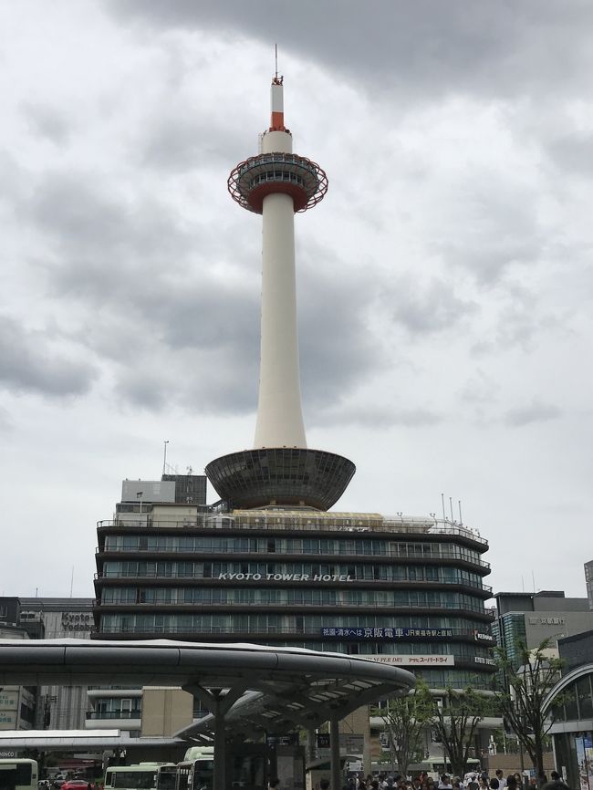 6月25日から2泊3日の南紀白浜・京都旅行、2日目、南紀白浜から大阪難波へ到着し、電車を乗り継ぎ京都へ向かいました。<br />先月に続いての京都です。<br /><br />2日目の宿泊は、京都駅前の京都タワーホテルでした。<br /><br />3日目、京都駅周辺を観光し、最後にサントリー山崎蒸溜所を見学して、伊丹空港から羽田空港へ戻りました。