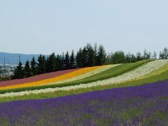 北海道旅：富良野編